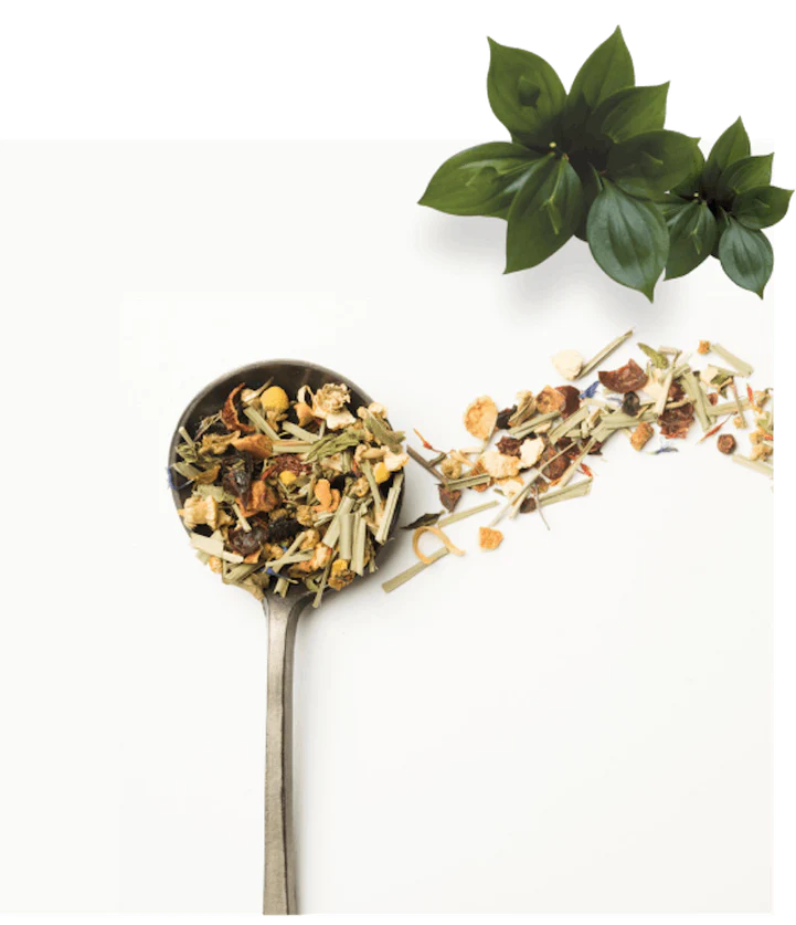 Pure Plant-Powered Holistic Healing